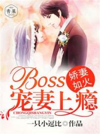 娇妻如火：BOSS追妻上瘾