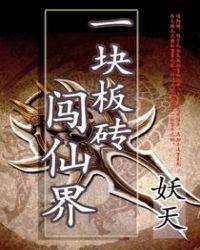 一块板砖闯仙界